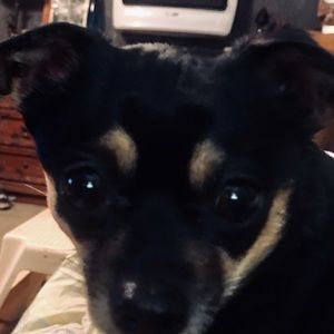 Meet your Posher, Teresa